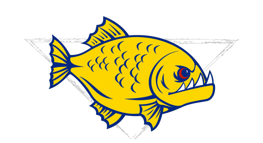 RumbleFish Underwater Hockey Club